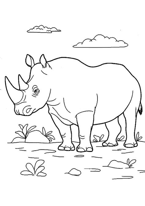 The-rinoceronte Zoo Animal Coloring Pages, Rhino Animal, Fotografi Urban, Aktivitas Montessori, Online Coloring Pages, Animal Coloring Books, Cute Coloring Pages, Art Drawings For Kids, African Animals