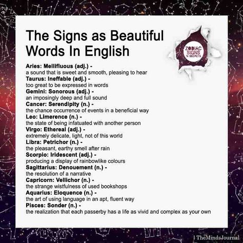 The Signs as Beautiful Words In English - https://themindsjournal.com/the-signs-as-beautiful-words-in-english/ Beautiful Words In English, Zodiac Things, Zodiac Sign Traits, Zodiac Stuff, Zodiac Society, Zodiac Signs Horoscope, Zodiac Signs Funny, Zodiac Memes, Zodiac Signs Astrology