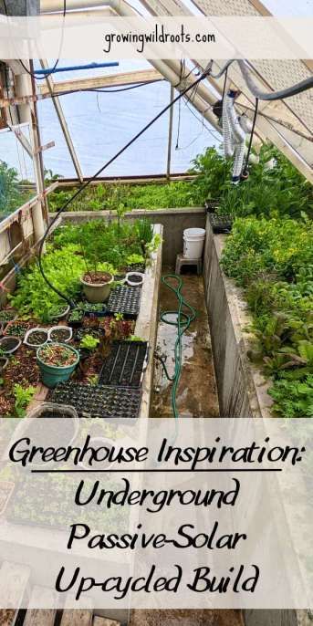 This passive-solar underground greenhouse is a fantasically productive addition to this small market garden. Come learn about all its different features, get inspired, and watch a video to learn more about how this family grows produce all winter in this greenhouse design. Passive Greenhouse Design, Underground Green House, Passive Greenhouse, Sunken Greenhouse, Walipini Greenhouse, Greenhouse Attached To House, Geothermal Greenhouse, Underground Design, Passive Solar House Plans