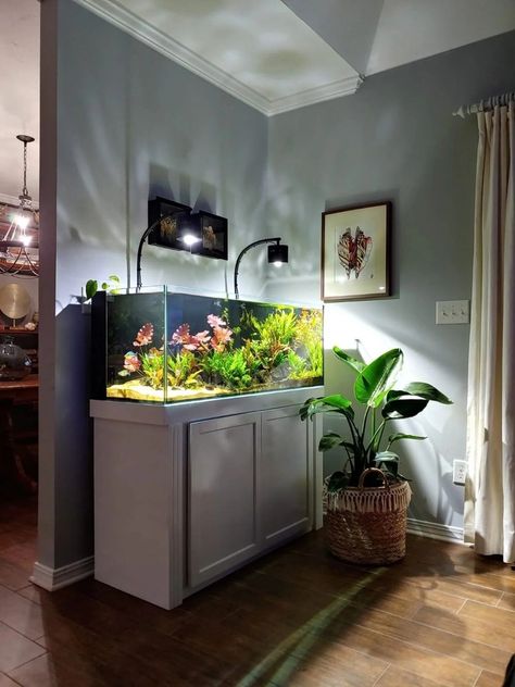 Big Fish Tanks Living Rooms, Fishtank Ideas Furniture, Large Fish Tank Ideas Living Rooms, Aquarium Fish Tank Living Rooms, Fish Tank Ideas Living Room, Large Fish Tank Ideas, Fish Tank Display, Aquarium Living Room, Modern Fish Tank