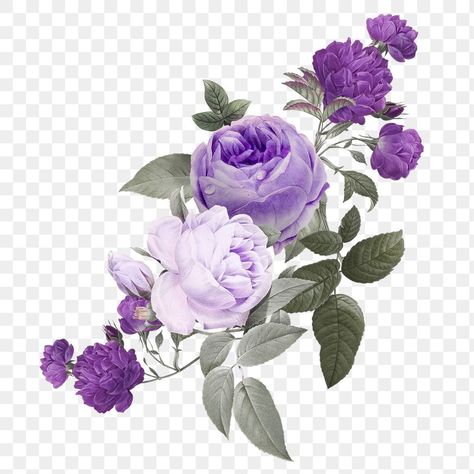 Purple Elements, Flower Bouquet Vintage, Flower Bouquet Png, Purple Flower Background, Purple Png, Purple Flower Bouquet, Flower Png Images, Flower Frame Png, Digital Flower