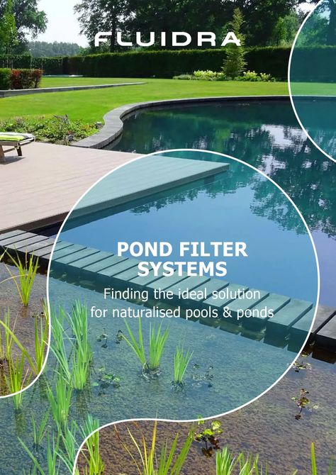 Natural Filter Pool, Natural Pond Filtration, Barrel Pond, Duck Ponds, House Pond, Ponds Ideas, Pond Filter System, Pond Filter Media, Swimming Ponds