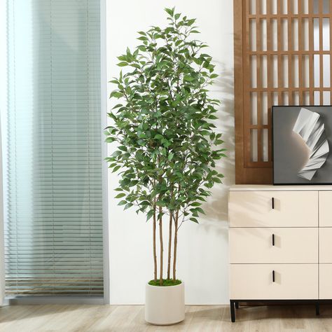 Primrue Adcock Faux Ficus Tree in Pot with White Planter, Faux Green Ficus Plant, Fake Tree for Home Décor & Reviews | Wayfair Faux Ficus Tree, Ficus Plant, Artificial Indoor Trees, Indoor Outdoor Living Room, Tree In Pot, Table Lamps Kitchen, Fake Trees, Ficus Tree, White Planters