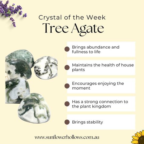 The crystal of the week is 🥁 TREE AGATE 🌻 Tree Agate also known as Dendritic Agate is said to 🌻 Bring abundance and fullness to life 🌻 Maintain the health of house plants 🌻 Encourages enjoying the moment 🌻 Have a strong connection to the plant kingdom 🌻 Bring stability Among other things. Tree Agate does work slowly but effectively. This crystal is known as the stone of plenitude. Follow the link in our bio to find these on sunflowerhollows.com.au #brisbanecrystalshop #australiancrys... Tree Agate Crystal Meaning, Agate Crystal Meaning, Nature-inspired Agate Healing Necklace, Agate Properties, Hand-strung Agate Crystal Necklaces For Healing, Enjoying The Moment, Crystal Magick, Plant Kingdom, Tree Agate Crystal