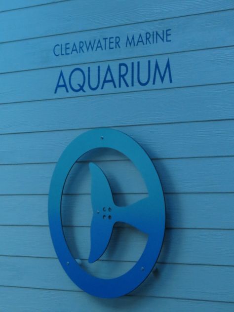 Clearwater Marine Aquarium in Clearwater, Florida Clearwater Aquarium Florida, Marine Rehabilitation, Clearwater Aquarium, Marine Rescue, Vsco Ideas, Clearwater Marine Aquarium, University Of Tampa, Biology Labs, Clearwater Florida