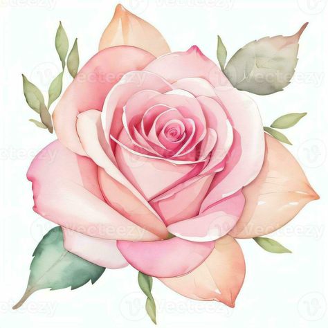 Pink Watercolor Roses Clipart Roses Clipart, Planner Aesthetic, Roses Watercolor, Cake Logo Design, Flower Line Drawings, Rose Clipart, Flower Drawings, Garden Watercolor, Watercolor Roses