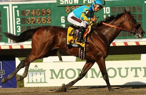 American Pharoah Haskell 615 X 400 American Pharaoh, City Of Troy, Preakness Stakes, American Pharoah, Belmont Stakes, Sport Of Kings, University Of Louisville, Churchill Downs, Race Horses