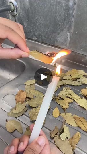 1.1M views · 41K reactions | Burn a bay leaf every day and the results will blow your mind!!! #fy #fyp #fypシ #foryou #foryoupageシviral | Life Hacks | Life Hacks · Original audio Leaf Bug, Burning Bay Leaves, Friendship Quotes Images, Bay Leaf, Bay Leaves, Quotes Images, Poultry Recipes, Health Advice, Health And Beauty Tips