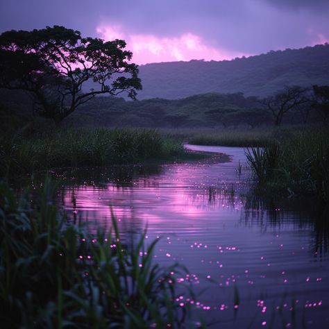 Playlist Covers Purple, Purple Forest Aesthetic, Aesthetic Laptop, Violet Aesthetic, Mystical Places, Lavender Aesthetic, Laptop Cover, Surreal Photos, Artsy Photos