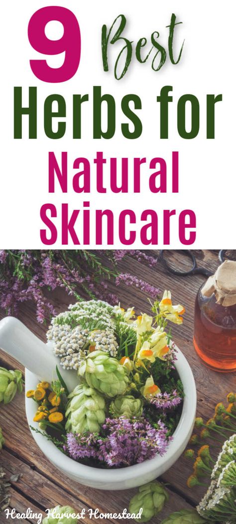 Homemade Body Products, Homemade Skincare Products, Best Herbs To Grow, Homemade Skincare, Natural Skincare Recipes, Herbal Skin Care, Herbal Salves, Herbal Recipes, Herbs For Health