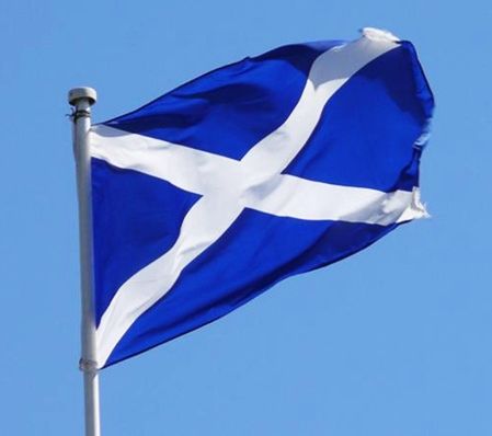 Scotland Aesthetic, Six Nations Rugby, St Andrews Cross, Flag Of Scotland, County Flags, Scotland Flag, Best Of Scotland, House Of Anubis, English Projects