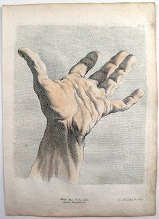 'Two Studies of Hands' by Charles-Nicolas Cochin. Hand Holding Something, Hand Study, Holding Something, Anatomy Drawing, Hand Holding, Drawing Prints, Hand Art, Anatomy Art, Life Drawing