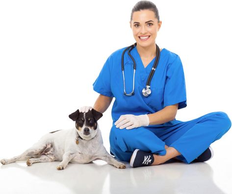 If you’re considering purchasing a nationwide pet care plan for your pet, you might be wondering what’s covered. Nationwide’s pet insurance plan clearly states which conditions and illnesses are covered. Vet Doctor, Dog Stock Photo, Pet Insurance, Care Plans, Pet Dog, Your Pet, Pet Care, Stock Images Free, Pet Dogs