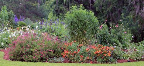 It's not a garden, it's a habitat - Florida Wildflower Foundation Florida Wildflowers, Wildflower Gardens, Native Plant Landscape, Florida Native Plants, New Mindset, Habitat Garden, Florida Landscaping, Florida Plants, Florida Gardening