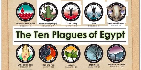 The Ten Plagues- They, Them and Us - Unveiling Understanding School Visuals, Ten Plagues Of Egypt, Biblical Holidays, Plagues Of Egypt, 10 Plagues, Ten Plagues, Noah Ark, Poster Boards, Inspire Bible