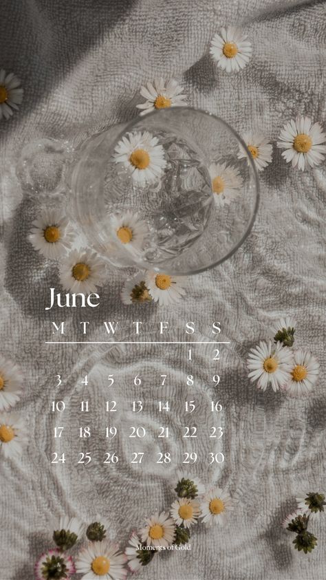 June 2024 Calendar Wallpaper, Phone Wallpaper, Summer Vibes, Daisies, Summer Aesthetic, Monthly Wallpaper Design June Aesthetic Month, June Aesthetic Wallpaper, Aesthetic Daisies, June Aesthetic, June Wallpaper, Monthly Wallpapers, August Aesthetic, Hello Wallpaper, Gold Stationery