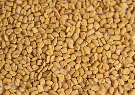 Fenugreeks Other Uses How To Use Fenugreek Seeds, Fenugreek Benefits For Men, Benefits Of Fenugreek For Women, Fenugreek Benefits Women, Fenugreek Sprouts, Health Pics, Cultural Dishes, Fenugreek Powder, Fenugreek Tea