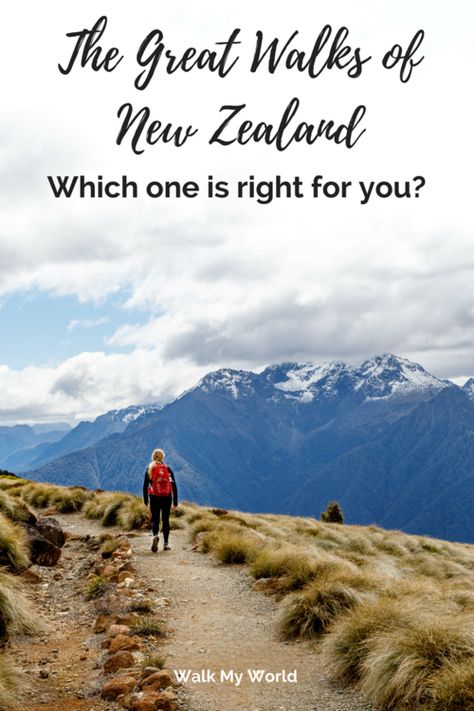 Which Great Walk of New Zealand is right for you? — Walk My World Hiking New Zealand, Travel New Zealand, New Zealand Beach, New Zealand Travel Guide, Kia Ora, Oceania Travel, Travel Quotes Adventure, Destination Voyage, Hiking Tips