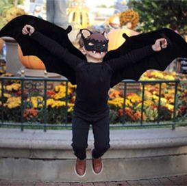 Bat Costume Boy, Kids Bat Costume, Diy Bat Costume, Vampire Costume Diy, Diy Costumes Kids Boys, Bat Halloween Costume, Bats For Kids, Kid Costume, Boys Diy