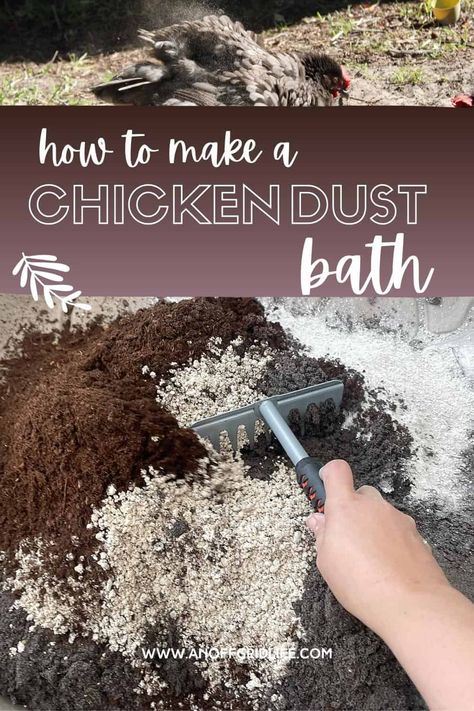 Diy Dust Bath, Chickens Coop Ideas, Coop Roost Ideas, Chicken Roosting Bars, Chicken Coop Roost Ideas, Chicken Coop Roost, Chicken Dust Bath, Chicken Bath, Chicken Roost Ideas