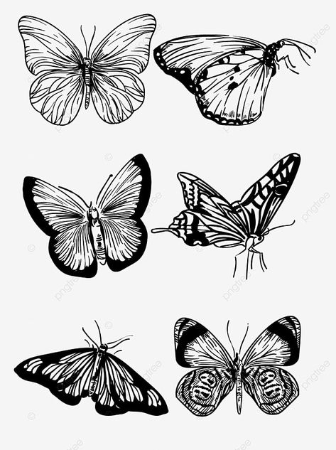 Butterfly vector hand drawn realistic line drawing pattern Line Drawing Pattern, Wing Drawing, Fly Drawing, Butterfly Vector, Logo Cloud, Drawing Png, Drawing Pattern, Black And White Cartoon, Psd Background