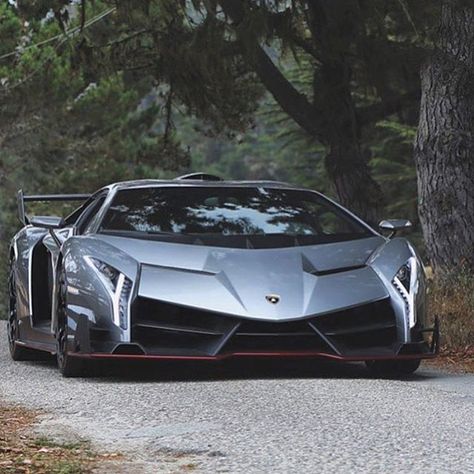 Lamborghini Veneno Wild Bull, Carros Lamborghini, Dream Cars Jeep, Lamborghini Veneno, 8 Seconds, Cool Car Pictures, Lamborghini Cars, Street Racing Cars, Super Luxury Cars