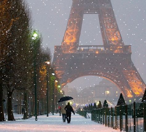 Eiffel Tower in Winter Prancis Paris, Torre Eiffel Paris, Paris Winter, Paris Dream, Paris Jackson, Paris Photo, The Eiffel Tower, Xiamen, Paris Saint-germain