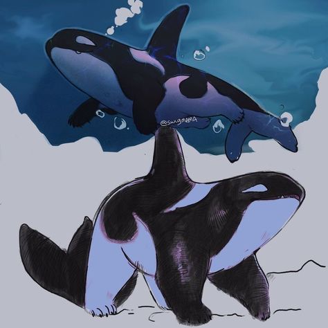 Cute Creature Concept Art, Orca Oc, Cute Mythical Creatures, Orca Drawing, Fantasy Pets, Orca Art, Mythical Animal, Cute Fantasy Creatures, Lovely Creatures