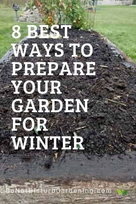 Preparing Garden Beds, Garden Preparation, Garden Mulch, Garden Prepping, Winter Vegetables Gardening, Gardening Techniques, Spring Plants, Home Vegetable Garden, Garden Yard Ideas