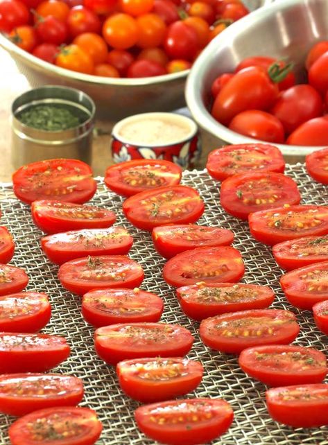 Dehydrating Grape and Cherry Tomatoes | A Life Well Planted Dehydrating Tomatoes, Dehydrating Food Storage, Cold Pasta Dishes, Tomato Snacks, Dehydrated Vegetables, Plastic Tray, Dehydrated Food, Dehydrator Recipes, Grape Tomatoes