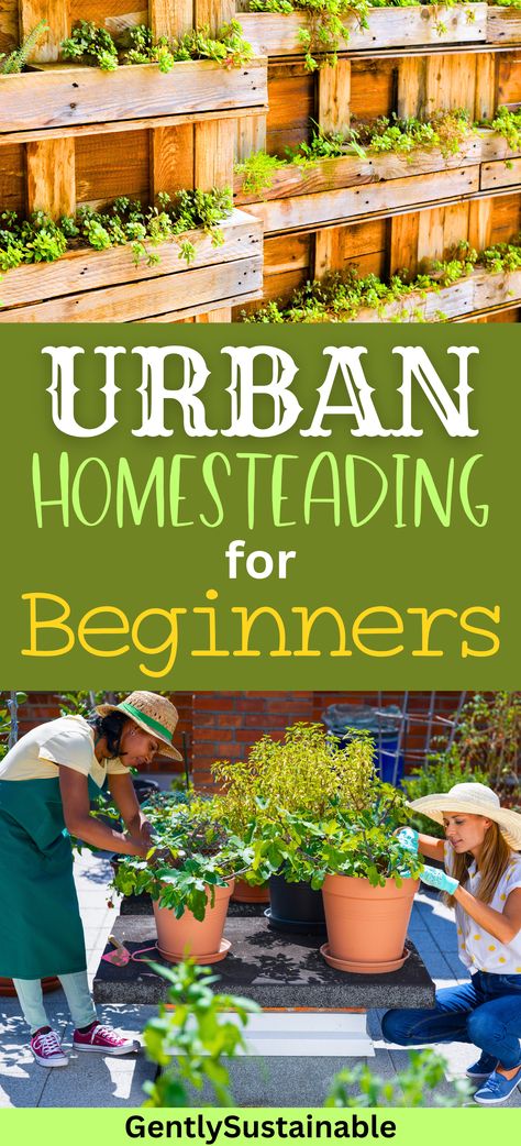 Living Self Sufficient, Homesteading In The Desert, Homesteading For Beginners In The City, Homestead In The City, Urban Homesteading Backyard Small Spaces, Homesteading In The City, Self Reliant Living, Urban Homesteading Ideas, Smallholding Ideas