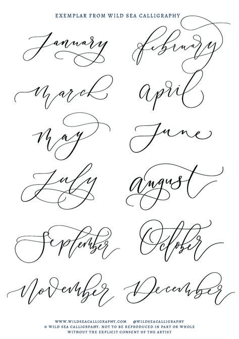 Months of the year written in modern calligraphy, great ideas for writing all the months of the calendar year in modern calligraphy #monthsoftheyear #january #february #calligraphy #ipadlettering #digitalcalligraphy #handlettering #calligraphyideas Month Calligraphy Hand Lettering, Months Written In Calligraphy, Calendar Font Ideas, Months Hand Lettering, January Calligraphy Hand Lettering, Months Lettering Fonts, January Font Ideas, January Lettering Fonts, February Calligraphy Hand Lettering