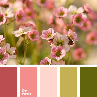 color of olives, dark marsh colour, khaki color, light olive color, light pink shades, maroon color, marshy green shades, pale pink color, pastel colors matching, vintage colors. Flat Bedroom, In Color Balance, Color Palette Ideas, Color Schemes Colour Palettes, Palette Ideas, Color Palate, Design Seeds, Color Palette Design, Color Harmony