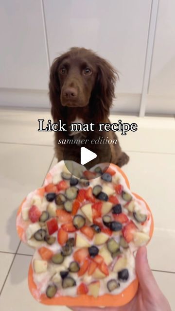 Lick Mats For Dogs Recipe, Dog Lick Mat Recipes, Lick Mat Recipes, Sprocker Spaniel, Kid Foods, Mat Ideas, Summer Hacks, Dog Enrichment, Dog Hacks