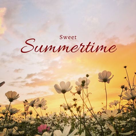 Sweet summertime: where memories are made in the sun and laughter never fades. #summer #summertime #summervibes #summer2017 #summerbody #summer2016 #summer2015 #summerfun #summer17 #summerfashion #summerdays #summeriscoming #summerstyle #Summer16 #summerhair #summernights #summerlove #summertimeshine #summerday #summerwedding #summervacation #summerready #summerweather #summerfeeling #summercamp #summers #summer2018 #summerlovin #summerdress #summermemories Summer Fotos, Sunny Quotes, Summer Harvest, Summer Living, Sweet Summertime, Summer 16, Summer Memories, Summer Is Coming, Sweet Summer