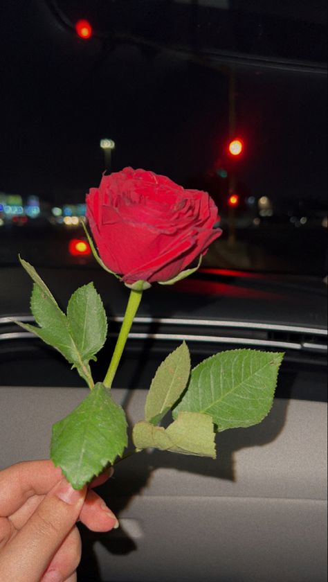 Rose In Hand Snapchat, Engagement Hand, Good Morning Greeting Cards, Interior Design Presentation, Mecca Wallpaper, Boquette Flowers, Nothing But Flowers, Black Picture, Haircuts Straight Hair