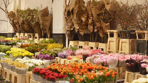 The Local’s Guide to NYC's Flower District – Journal Hotels Nyc Flower Market, Nyc Stores, Nyc Flowers, Retro Signage, The Flower Market, Flower Guide, Nyc Trip, Flower Display, Seasonal Flowers