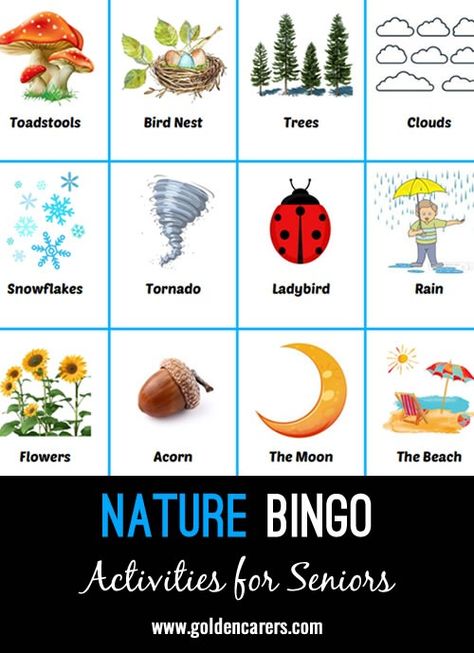 Nature Bingo Nature Bingo, Nursing Home Activities, Elderly Activities, Activity Director, Running Program, World Environment Day, Environment Day, Diy Activities, Senior Care