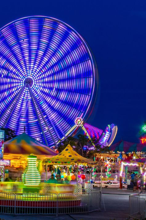 Travel Guide: Here's a list of Top 8 Theme Parks And Amusement Parks In Vallejo, California  #travel #travelguide #travel2020 #traveltheworld #worldtravel #travelgoals #travelbucketlist #bucketlist #travelitinerary #thingstodo #bestplaces #travellist #luxurytravel #travelitinerary #trip #vacation #2020vacation #quarantinedeals #airbnb #hotels #hostels #cabins #villas Fair Lights, Vallejo California, Indiana Jones Adventure, Universal Studios Singapore, Things To Do Alone, Great America, Disneyland (paris), Carnival Rides, Roller Coasters