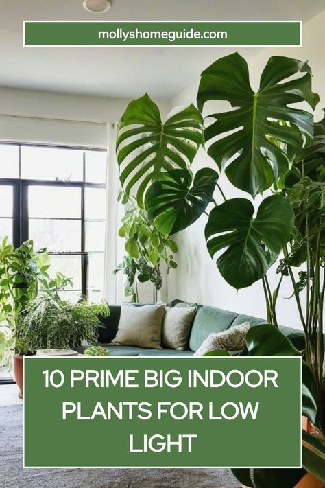 Looking to brighten up your space with indoor plants but lack natural light? Check out the best big indoor plants for low light! These houseplants thrive in darker environments and require minimal maintenance. Create a green oasis in your home with low light houseplants that are easy to care for and safe for pets. Discover air-purifying plants that will freshen up the air while adding a touch of nature to your decor. Tall Low Light Indoor Plants, Hardy Indoor Plants, Plants For Low Light Indoors, Zero Light Indoor Plants, Big House Plants Indoor, Unique Indoor Plants, Large Indoor Plants Low Light, No Light Plants, Apartment Plants Aesthetic