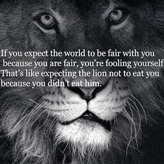 "If You Expect The World To Be Fair With You Because You Are Fair, You're Fooling Yourself. That's Like Expecting The Lion Not To Eat You Because You Didn't Eat Him." One Sentence Quotes, Deep Quotes That Make You Think, Life Isnt Fair, Lion Quotes, Short Inspirational Quotes, A Lion, Amazing Quotes, Inspirational Quotes Motivation, The Words