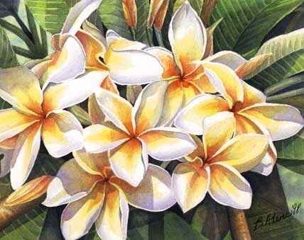 Irish Garden, Visual Library, Watercolor Workshop, Ink Inspiration, Art Shows, My Imagination, Painting Flowers, Inspiring Art, Maui Hawaii