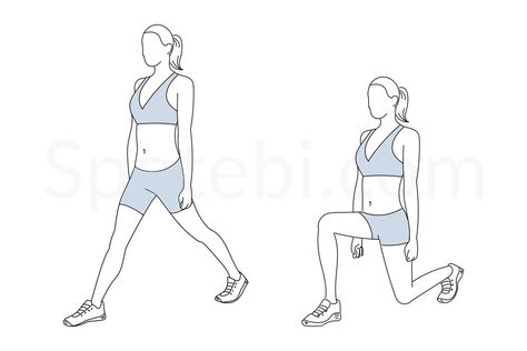 The split squat movement is very similar to the lunge, but it places more emphasis on the hips, glutes and hamstrings and less emphasis on the quads. The split squat also has a reduced lumbar spine loading, when compared to the lunge, and it helps to improve lower body strength and balance. http://www.spotebi.com/exercise-guide/split-squat/ Sport Plan, Lose The Pooch, Squat Exercise, Benefits Of Squats, Warehouse Gym, Bench Press Program, Push Workout, Split Squats, Weighted Squats