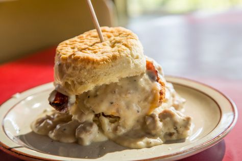 The creaminess of a savory gravy over fluffy buttermilk biscuits...there is nothing like it. But most of the time it's loaded down with calories and carbs.  So, here's a healthier recipe for you (a... Turkey And Gravy, All Food Recipes, Creamed Turkey, Crockpot Chicken And Gravy, Chicken Biscuit, Chicken And Gravy, Biscuit Sandwich, Chicken And Biscuits, Homemade Biscuits