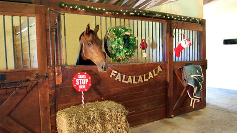 Horse Barn Christmas Decorations, Christmas Horse Stall Decorating Ideas, Horse Stall Christmas Decorations, Christmas Horse Stall, Horse Stall Decorations, Stalls Ideas, Decorated Horse, Barbie Bday, Horse Grooming Kit