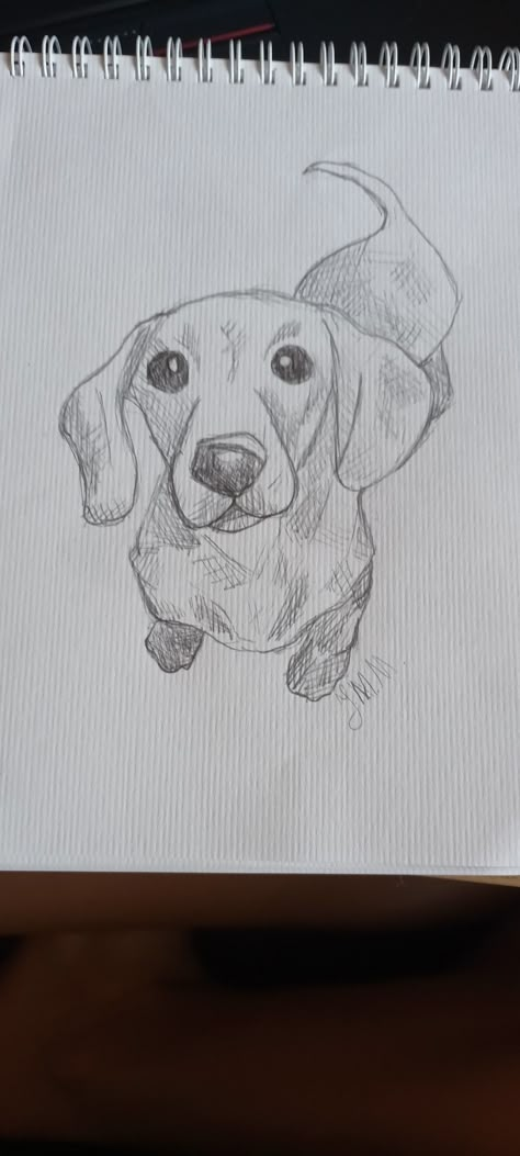 Bobbly art dachshund drawing cute eyes nose slay long wiener dog art long dog Dachshund Puppies Drawing, Wiener Dog Watercolor, Weenie Dogs Drawing, How To Draw Dachshund, Dachshund Drawing Easy, Dog Drawing German Shepherd, Drawing Ideas Easy Dog, Drawing Cute Eyes, Daschund Drawing