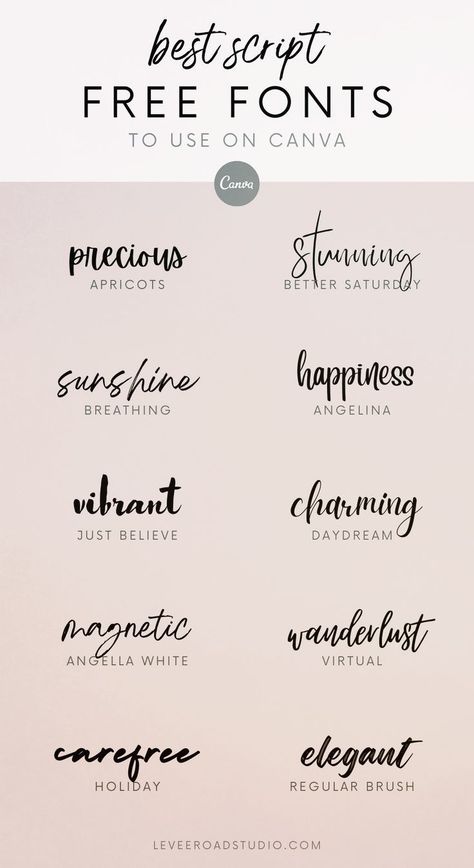 10 free commercial use fonts on Canva for branding. Fonts and Calligraphy Ideas, Typography Inspiration, & Wedding Fonts Kombinasi Font, Font Canva Lettering, Best Free Script Fonts, Typographie Logo, Party Font, Free Handwritten Fonts, Typographie Inspiration, Design Alphabet, Schrift Design