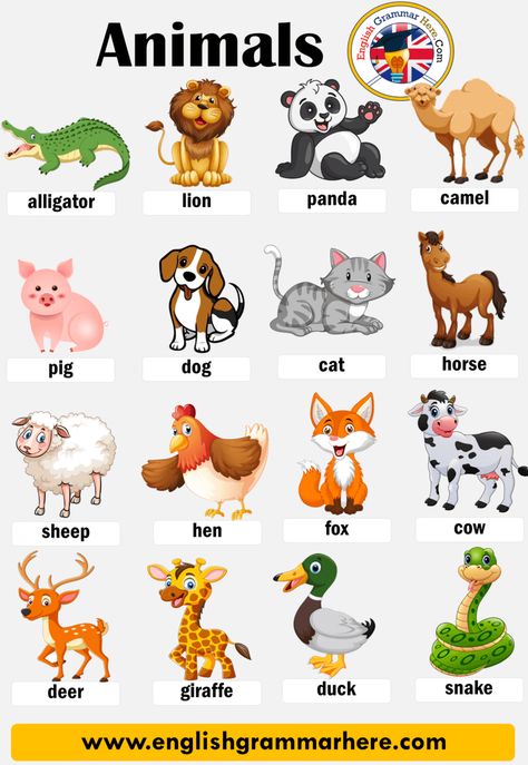 Animal Names, List of Animals in English Table of Contents ANIMALS IN ENGLISHDomestic AnimalsBirdsMammalsInsectsReptilesSea AnimalsFarm AnimalsWild Animals ANIMALS IN ENGLISH Animals Name With Picture, Animals Name List, Aktiviti Prasekolah, Animal Pictures For Kids, Animals Name In English, Animal Names, English Activities For Kids, English Worksheet, Learning English For Kids