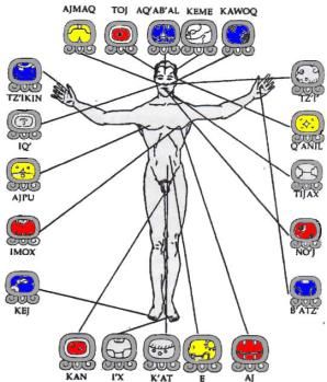 tzolkin | Nouveau paradigme de l'astrologie maya Mayan Astrology, Constellation Chart, Jade Amulet, Feathered Serpent, Sun Dogs, Mayan Art, Lake Atitlan, Spirit World, Red Candles