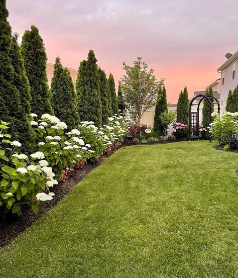 Ranch Landscape Ideas Front Yard, European Yard Landscaping, Tree Line Landscaping, European Backyard Landscaping, Faux Grass Patio, Square Backyard Landscaping Layout, Front Patio Landscaping, Cedar Landscaping, Landscape Layout Plan